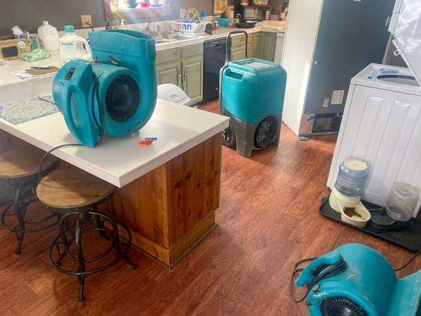 Best Water damage restoration near me  in Pemberville, OH