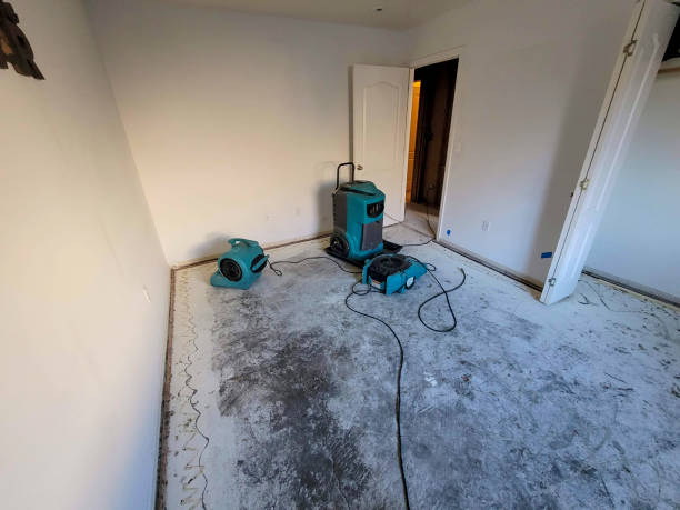 Best Water damage restoration near me  in Pemberville, OH