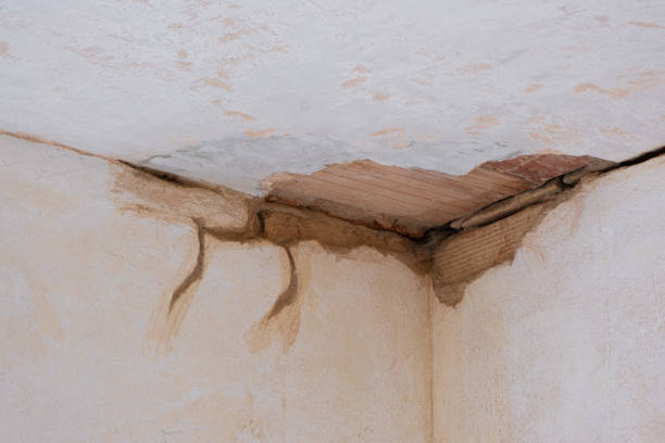 Best Water damage restoration services  in Pemberville, OH
