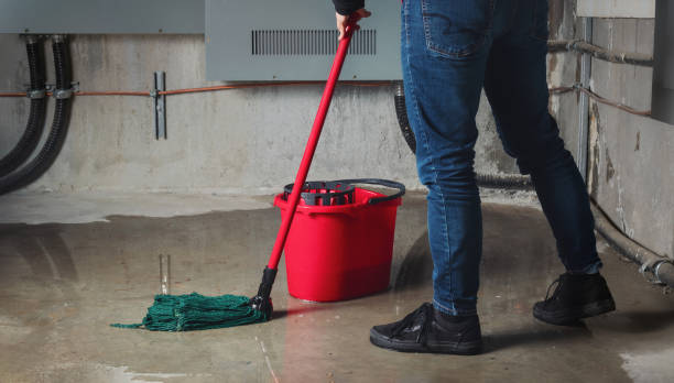 Best Flood restoration services  in Pemberville, OH