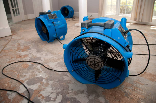 Best 24-hour water damage restoration  in Pemberville, OH
