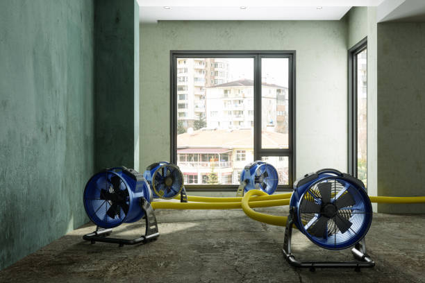 Best Sewage cleanup and water damage restoration  in Pemberville, OH